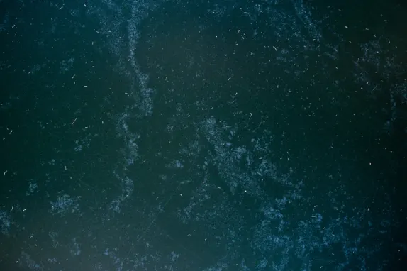 טורנאוורס קזינו תמיכה